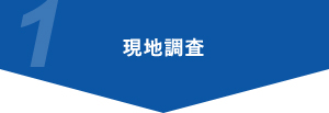 現地調査